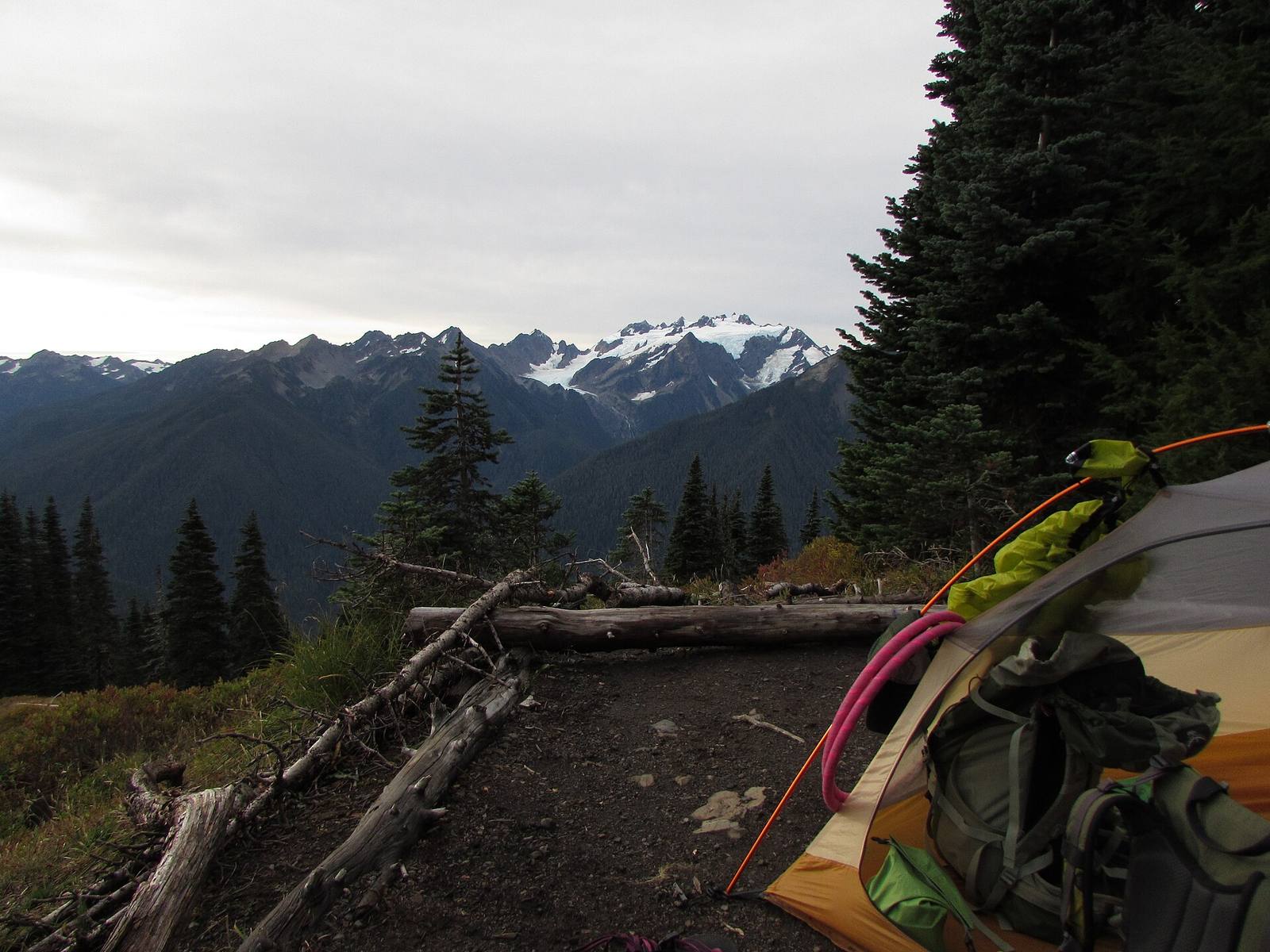 A small tent pitched on a subalpine slope with mountains behind.